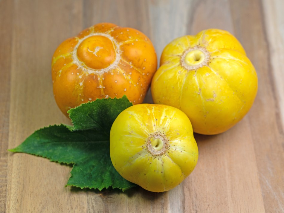 3 pepinos de limón, dos frutas amarillas maduras, una encima de una fruta naranja demasiado madura.