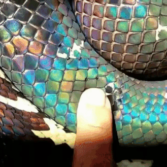 escamas de serpiente