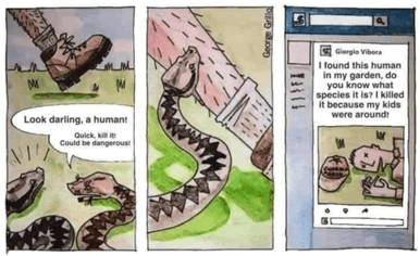 caricatura que muestra a dos serpientes tratando de identificar a un humano que han mordido