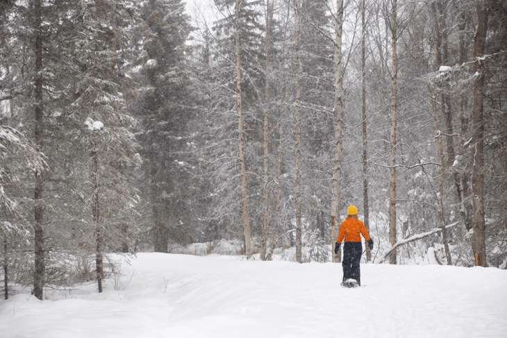Persona con raquetas de nieve en el bosque.