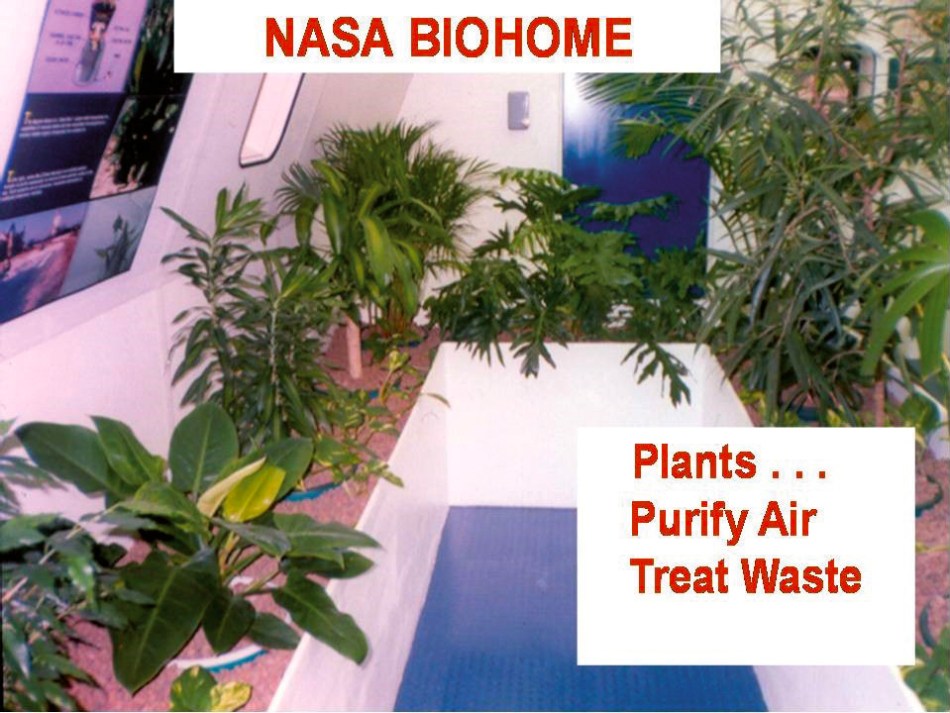 Plantas de interior en el biohogar de la NASA