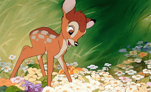 Bambi huele flores