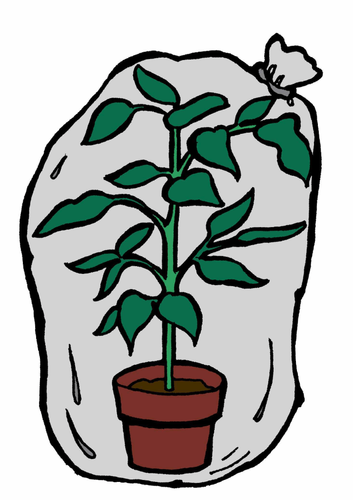 Planta en una bolsa de plástico
