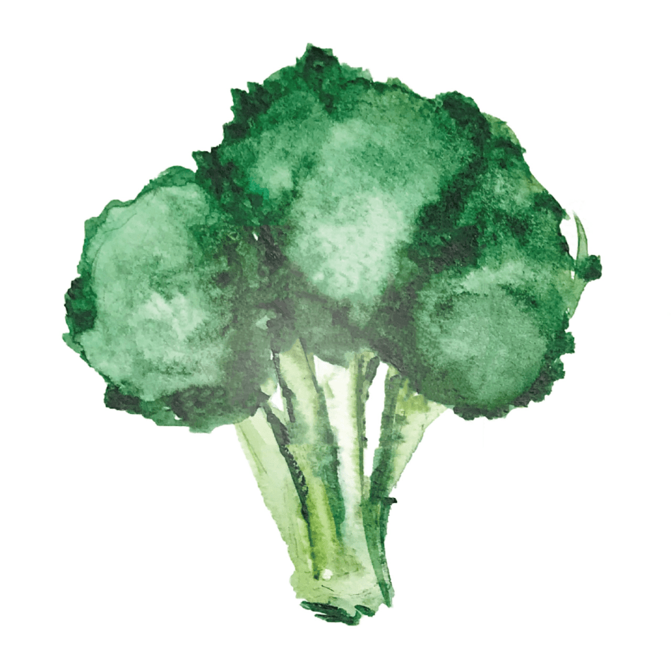dibujo de brócoli