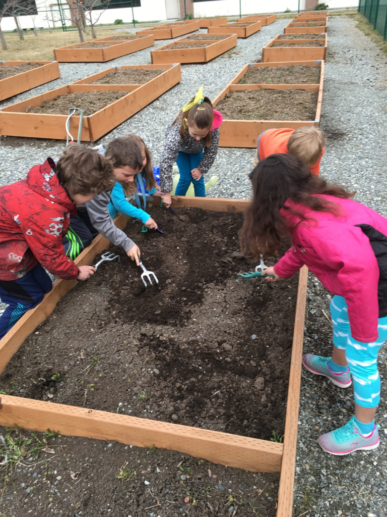 Los niños plantan semillas en un lecho elevado.
