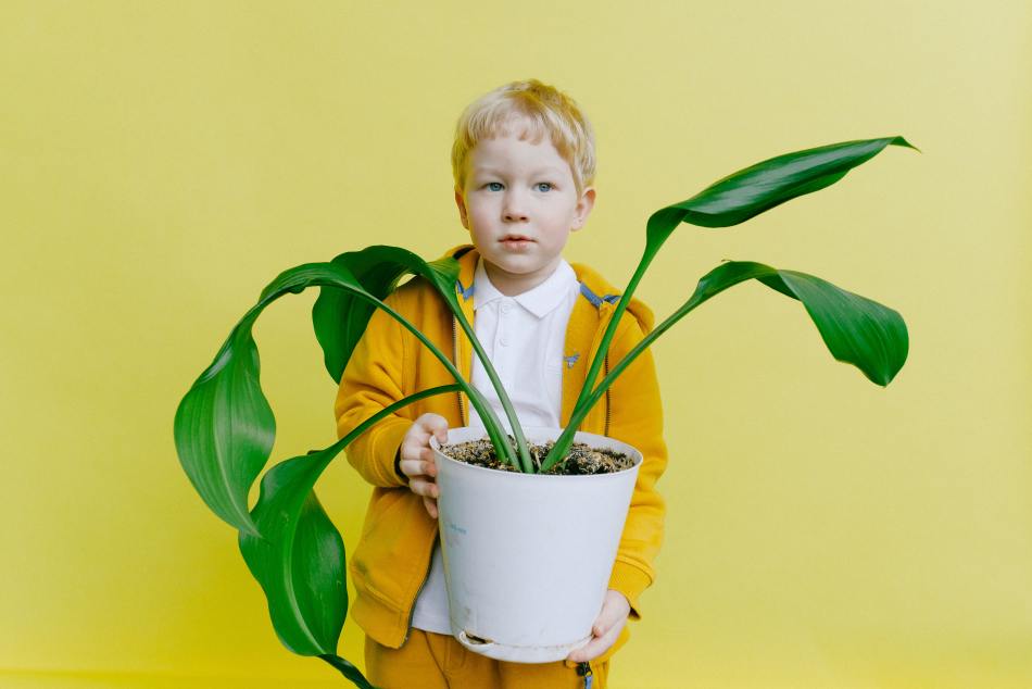 Un niño sostiene una planta en maceta.