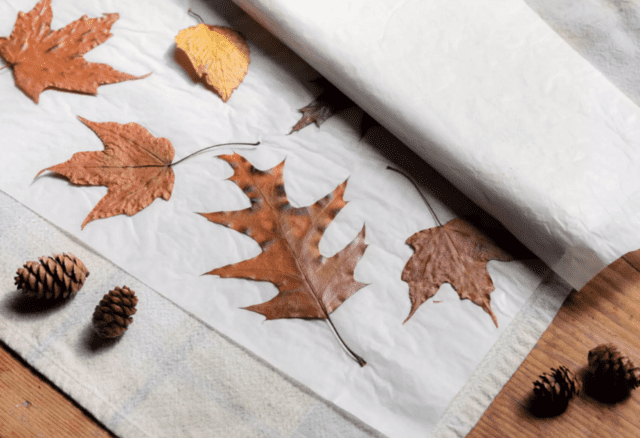 Cómo almacenar hojas de otoño para decorar la casa