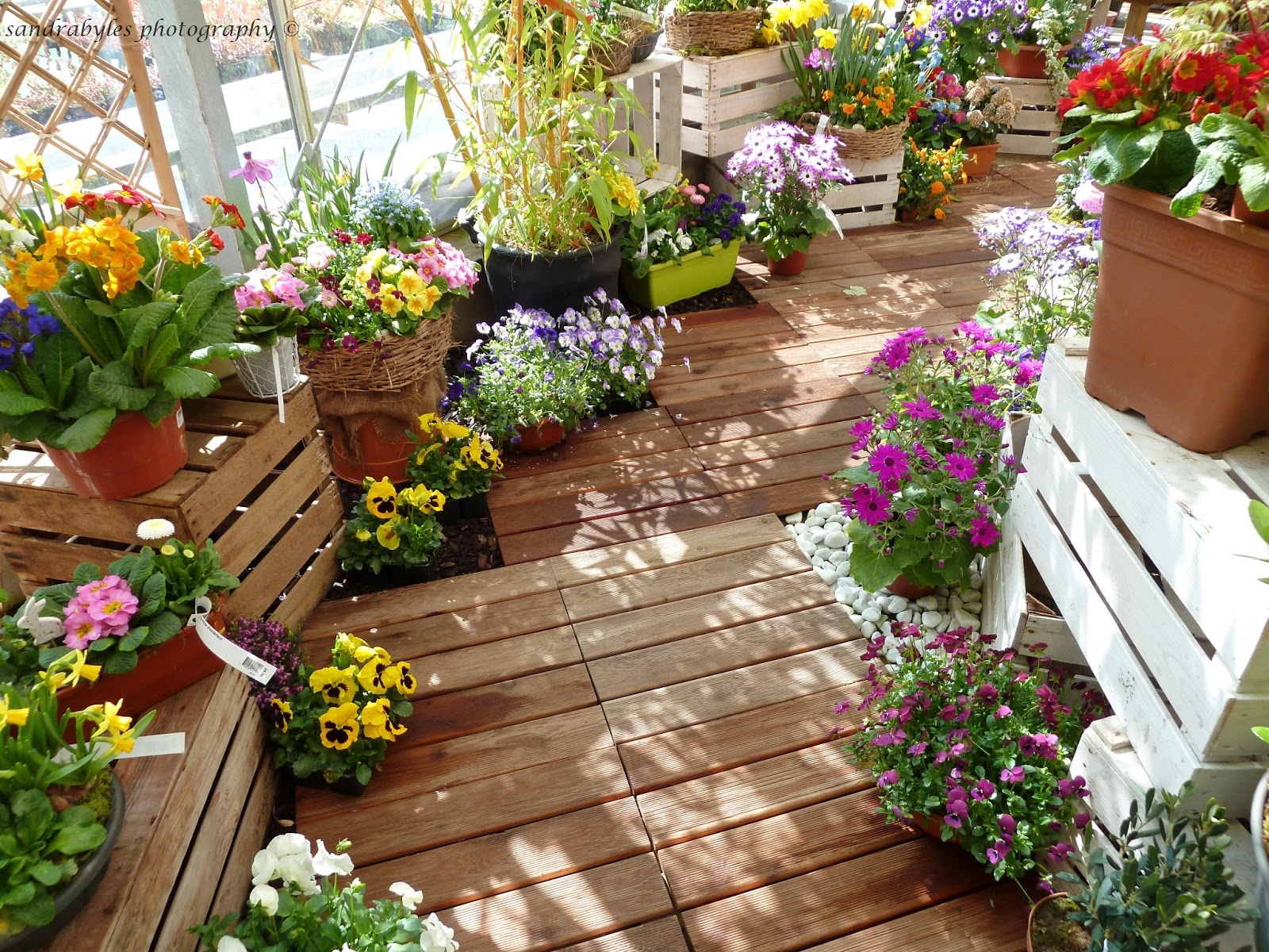 terraza con plantas y flores de primavera