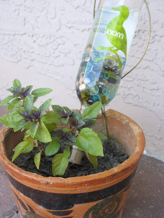 botella de agua con agujeros dentro de un jarrón: una forma sencilla y económica de regar las plantas, incluso cuando no estamos en casa