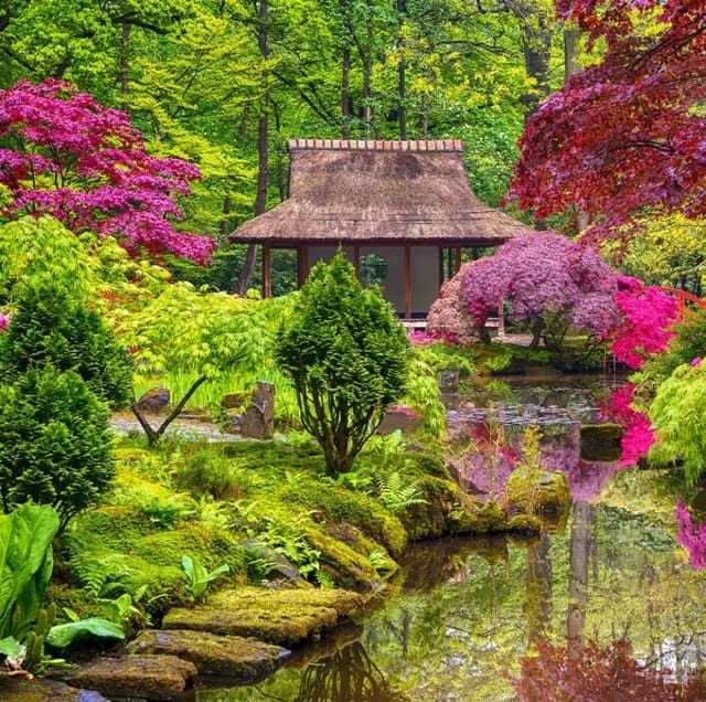 jardines japoneses