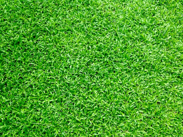 grama artificial para patios